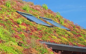 Wigsthorpe living roof systems